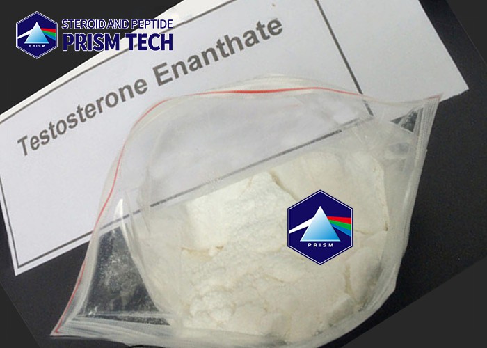 Testosterone Enanthate